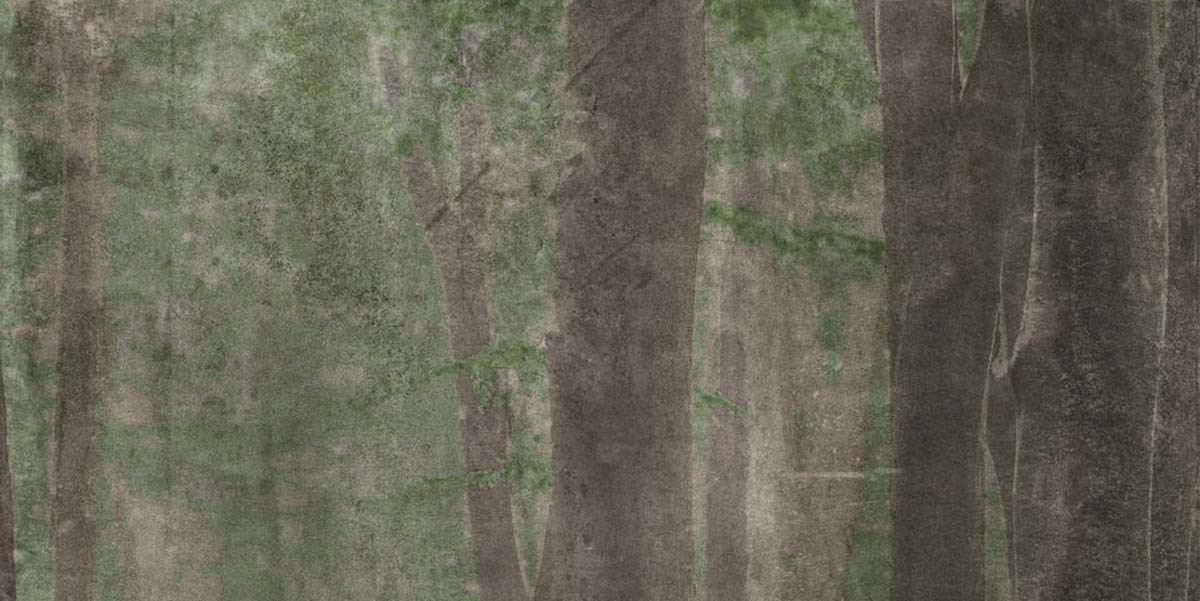 Керамогранит 240x120 W&s D Cp4 Woods A матовая 7мм Abk