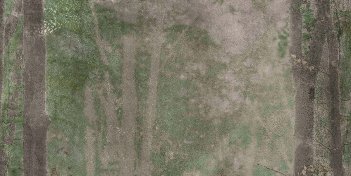 Керамогранит 240x120 W&s D Cp4 Woods B матовая 7мм Abk