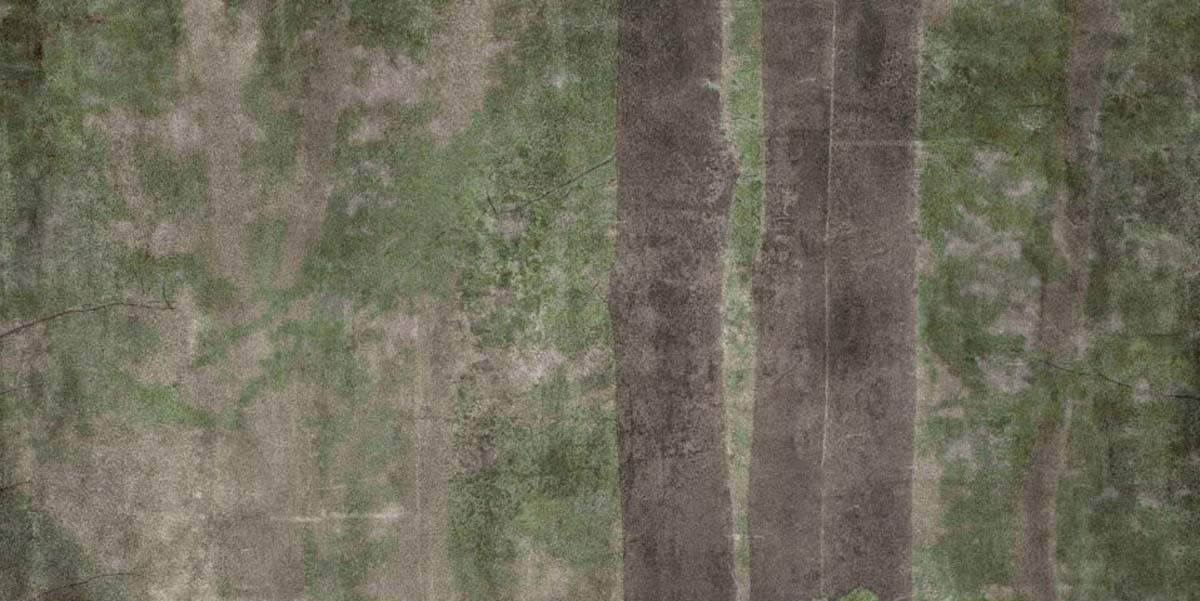 Керамогранит 240x120 W&s D Cp4 Woods C матовая 7мм Abk