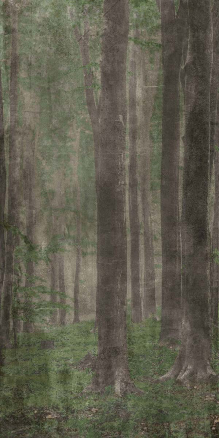 Керамогранит 240x120 W&s D Woods A матовая 7мм Abk