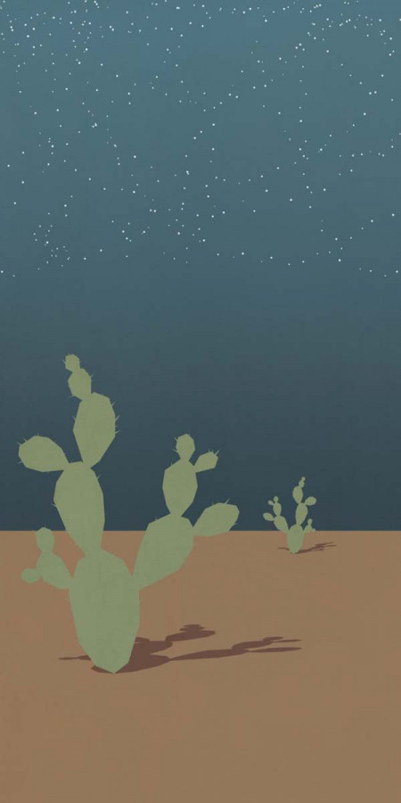 Керамогранит 240x120 W&s D+ Arizona B матовая 7мм Abk