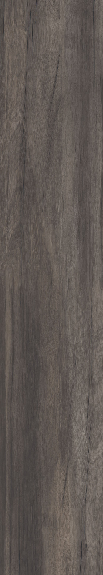 Керамогранит 120x20 напольная Dolphin Coal Aged Rett. матовая 9мм Abk