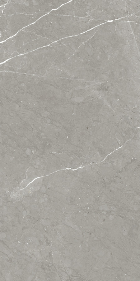 Керамогранит 120x60 Rhapsody Allure Lev Ret полированная 7мм Naxos