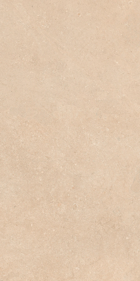 Керамогранит 120x60 Authentic Stone Dordogne Leather Matte Ret матовая 9мм Rex