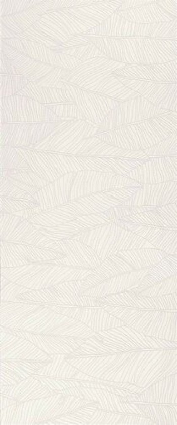 Плитка Aplomb White Leaf A6Fc матовая белый под обои 120x50 9мм Atlas Concorde