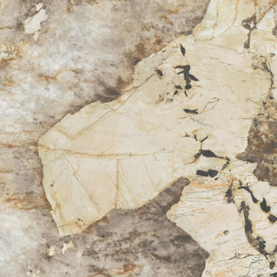 Плитка Marvel Desert Soul Lappato Afxm глянцевая бежевый мрамор 120x120 9мм Atlas Concorde
