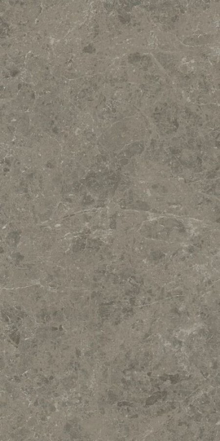 Плитка Marvel Meraviglia Grigio Elegante Lapp Ajhw глянцевая серый камень, мрамор 120x60 9мм Atlas Concorde
