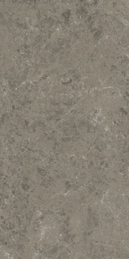 Плитка Marvel Meraviglia Grigio Elegante Ajiu матовая серый камень, мрамор 120x60 9мм Atlas Concorde