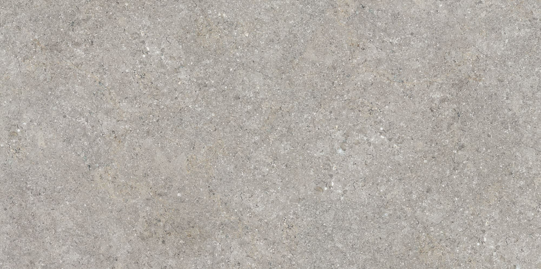 Керамогранит 120x60 Barsoom Taupe M матовый под камень серый 10мм Art##0007788 Venis