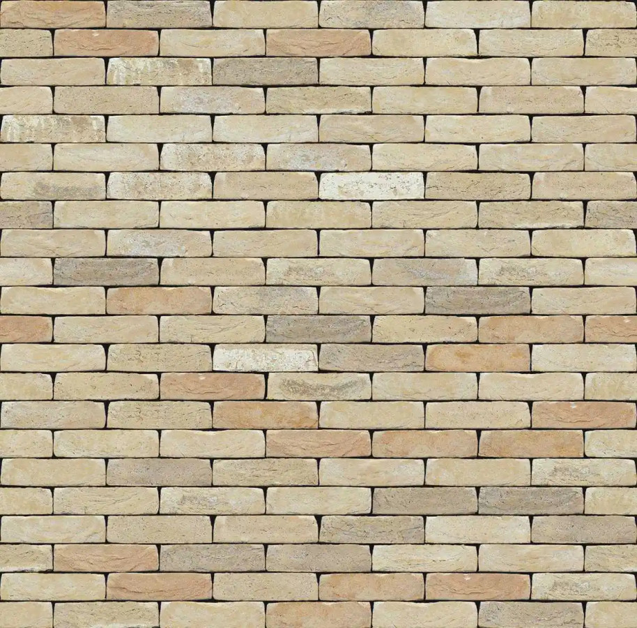 Кирпич ручной формовки Nelissen Luce 215x100x50