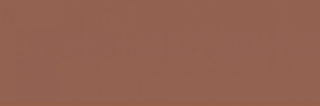 Керамическая плитка HRL000028 Garden Marron Liso 30x10 для стен глянцевая Heralgi