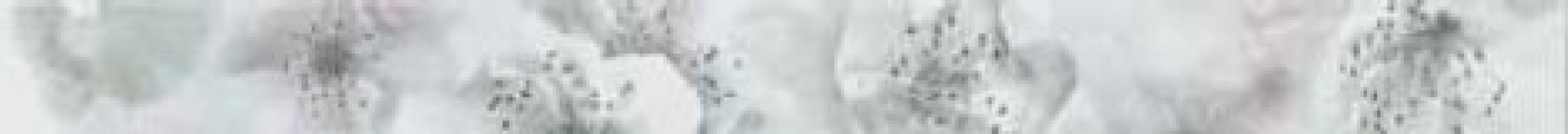 Керамический бордюр MRC000006 Veneto Gris Listello L-785 60x5 для стен глянцевая Myr Ceramicas