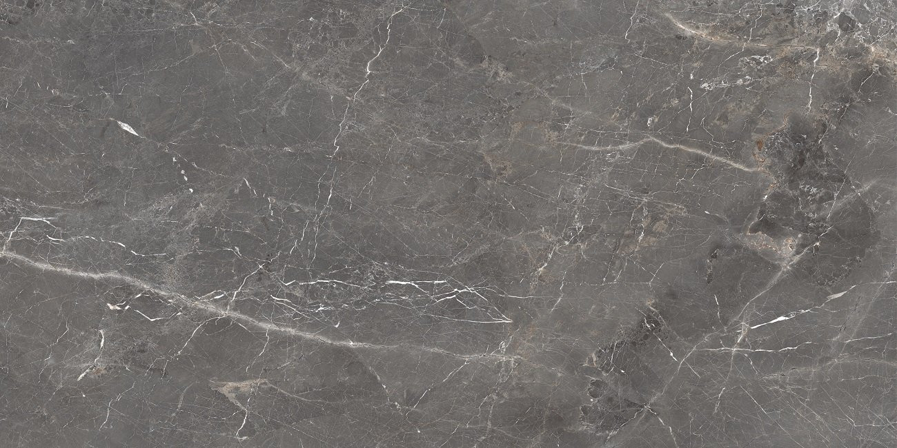 Керамогранит OC0000117 Tulip Grey 120x60 для пола и стен glossy Ocean Ceramic India New