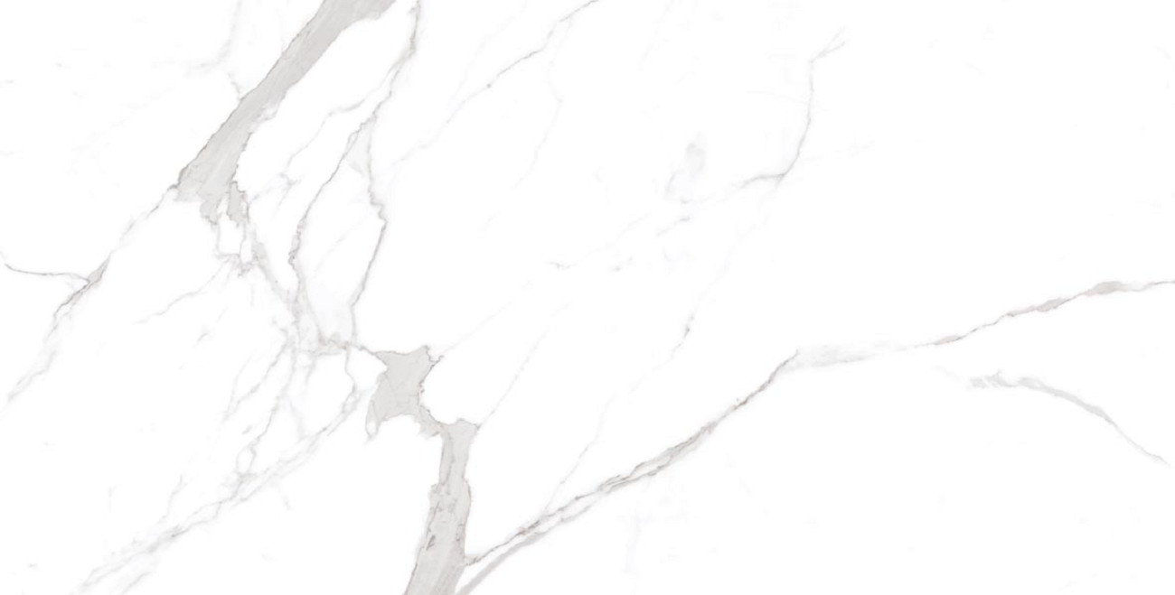 Керамогранит OC0000213 Statuario Orindo 120x60 для пола и стен матовая Ocean Ceramic India New