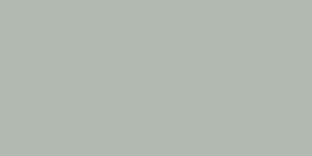 Керамогранит OC0000208 Exotic Olive Matt 120x60 для пола и стен матовая Ocean Ceramic India New