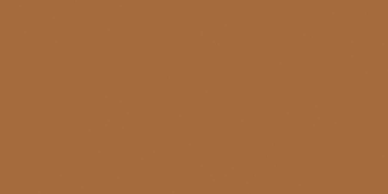 Керамогранит OC0000205 Exotic Light Brown Matt 120x60 для пола и стен матовая Ocean Ceramic India New