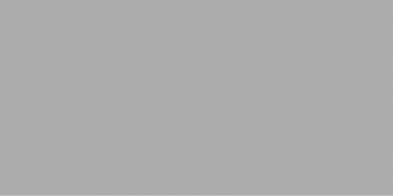 Керамогранит OC0000203 Exotic Light Grey Matt 120x60 для пола и стен матовая Ocean Ceramic India New