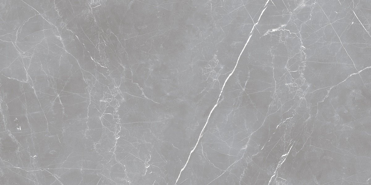 Керамогранит IRN000050 Arion Gray Dark 121x61 для пола матовая Ocean Ceramic Iran