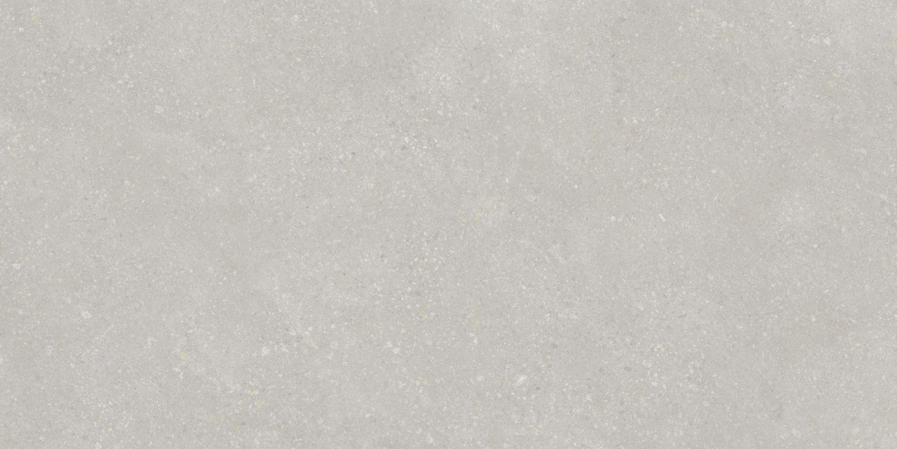 Керамогранит PT12F7048 Pietra Light Grey 120x60 для пола и стен матовая Protiles