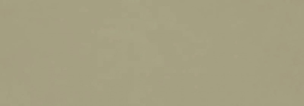 Плитка 120x60 10мм RA6E Vida Verde Rett матовая Ragno