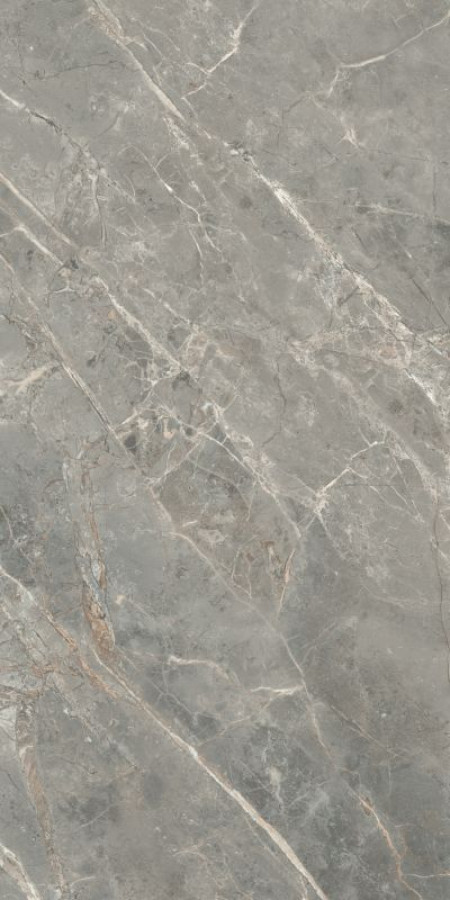 Плитка 120x60 6мм Etoile Gris Glossy Ret 761774 глянцевая серый мрамор Rex Ceramiche