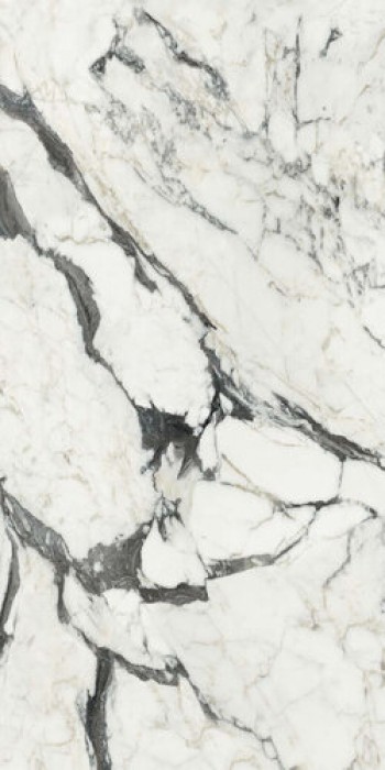 Плитка Bijoux Calacatta Altissimo Blanc Glossy R 765697 глянцевая белый мрамор 280x120 6мм Rex Ceramiche