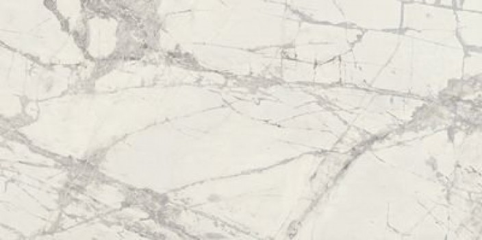 Плитка Prexious Rex Mountain Treasure Mat R 755834 матовая белый мрамор 120x60 9мм Rex Ceramiche