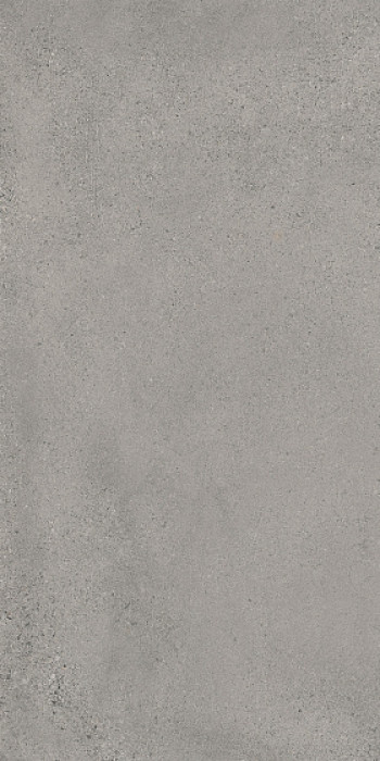 Керамогранит 120x60 Logico Grey CSALGR6012 Sant Agostino