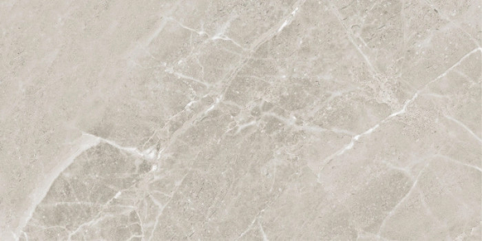 Керамогранит 120x60 8.1мм Colemanite Stone Grey Rect матовая Ape