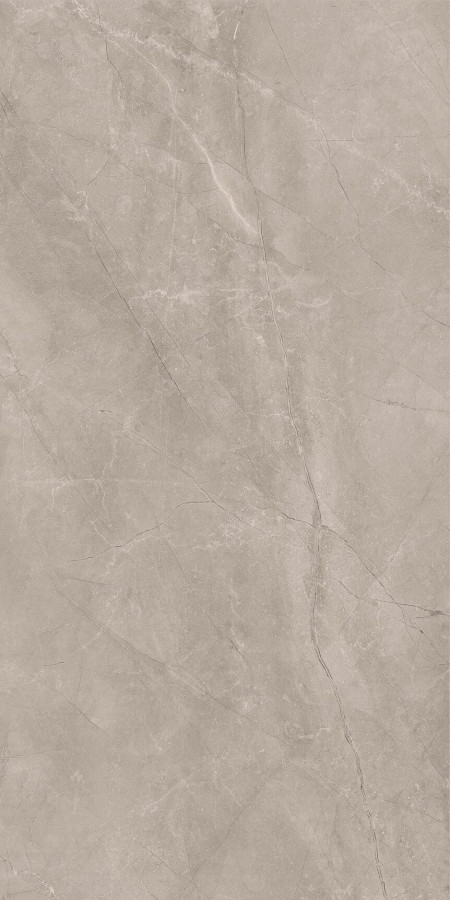 Керамогранит 120x60 Bayona Silver natural см матовая серый Baldocer