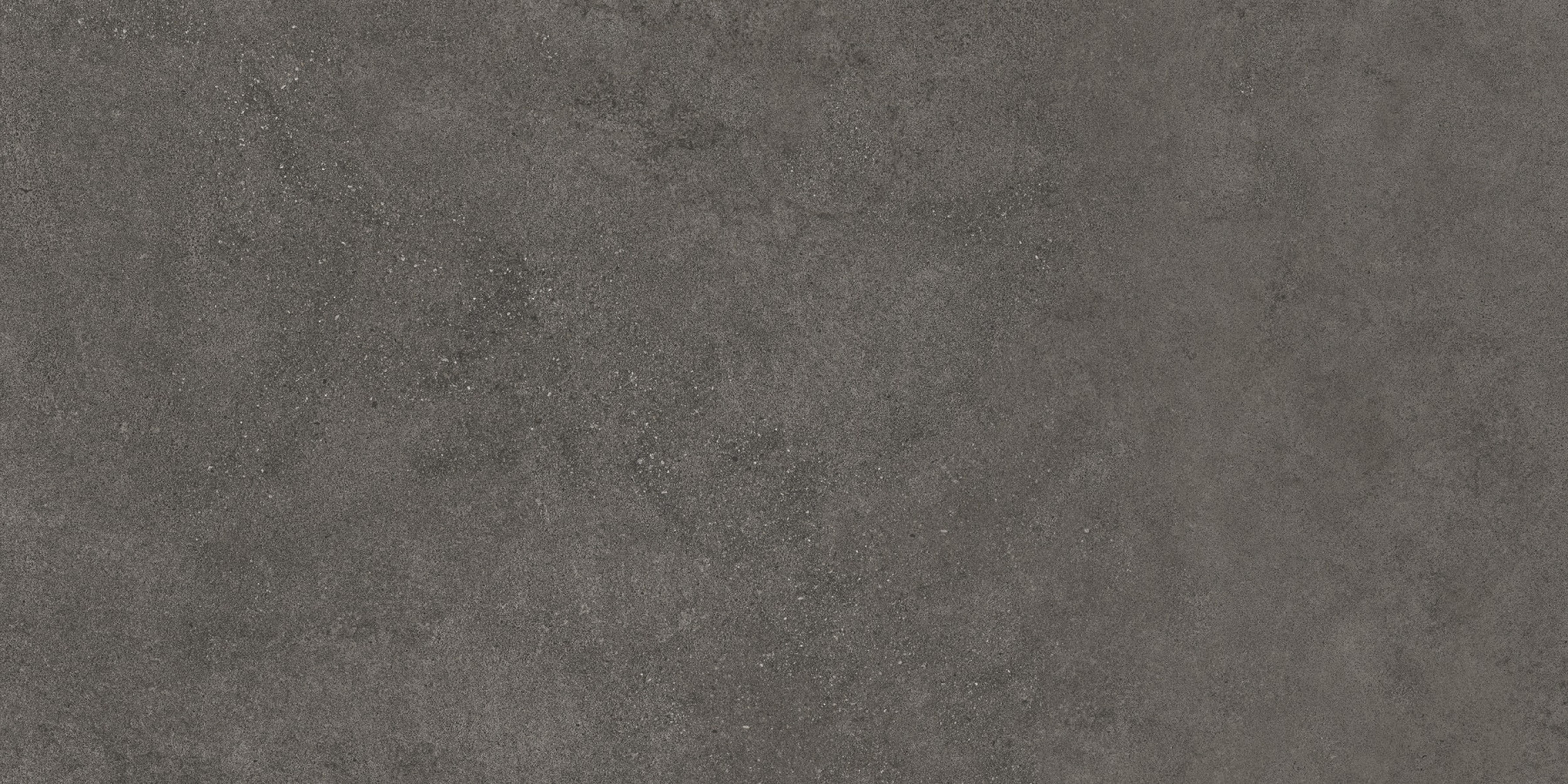 Плитка керамогранитная 120x60 Essenza Grafite 591/base R9 противоскользящая графитовый 10мм Exagres