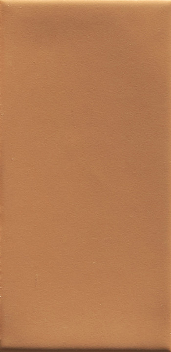 Плитка настенная 12.5x6.2 Mou Caramel Matte АКЦИЯ 4101108 41Zero42