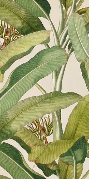 Плитка декор 100x50 Paper41 Pro MUSA (2 варианта паттерна) 4100336 41Zero42