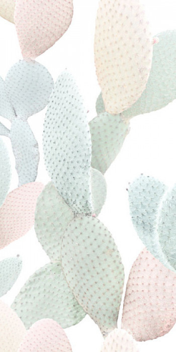 Плитка декор 100x50 Paper41 Pro MARCELA (2 варианта паттерна) 4100712 41Zero42