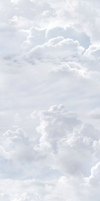 Плитка декор 100x50 Paper41 Pro AZZURRA (2 варианта паттерна) 4100985 41Zero42