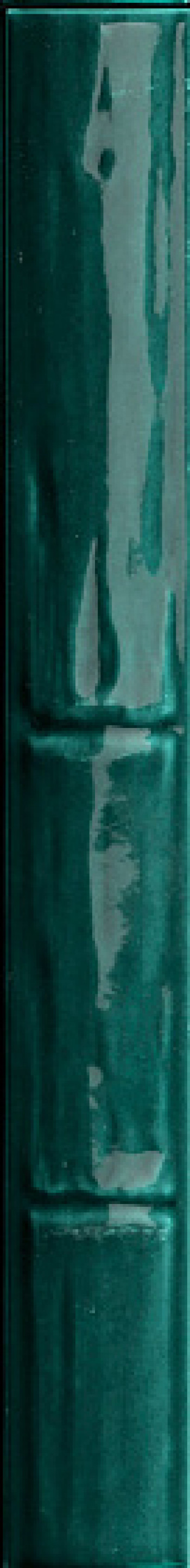 Керамогранит 31x4 Milano70 Bamboo Peacock (10 вариантов паттерна) 4101259 41Zero42