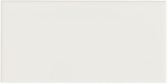 Плитка настенная 20x10 Neri Liso PB Biscuit ADNE1079 Adex