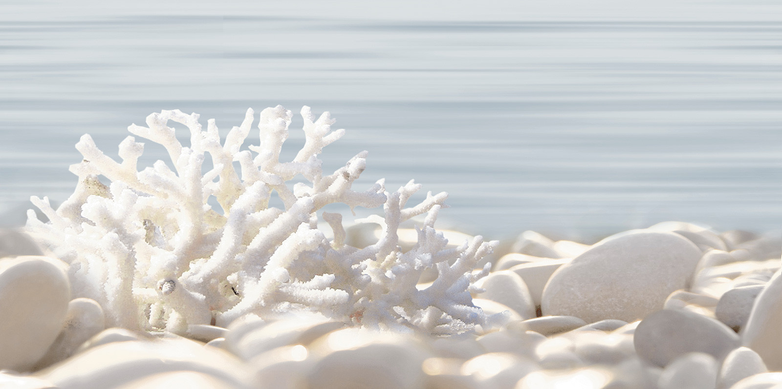 Декор 25x50 DWU09DLM624 Alma Ceramica Del Mare глянцевая 7мм Alma Ceramica