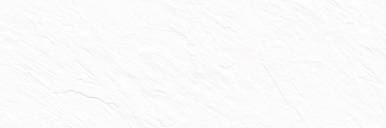 Плитка настенная 25x74 WT15LEN00R Delacora Leon матовая 10мм Delacora