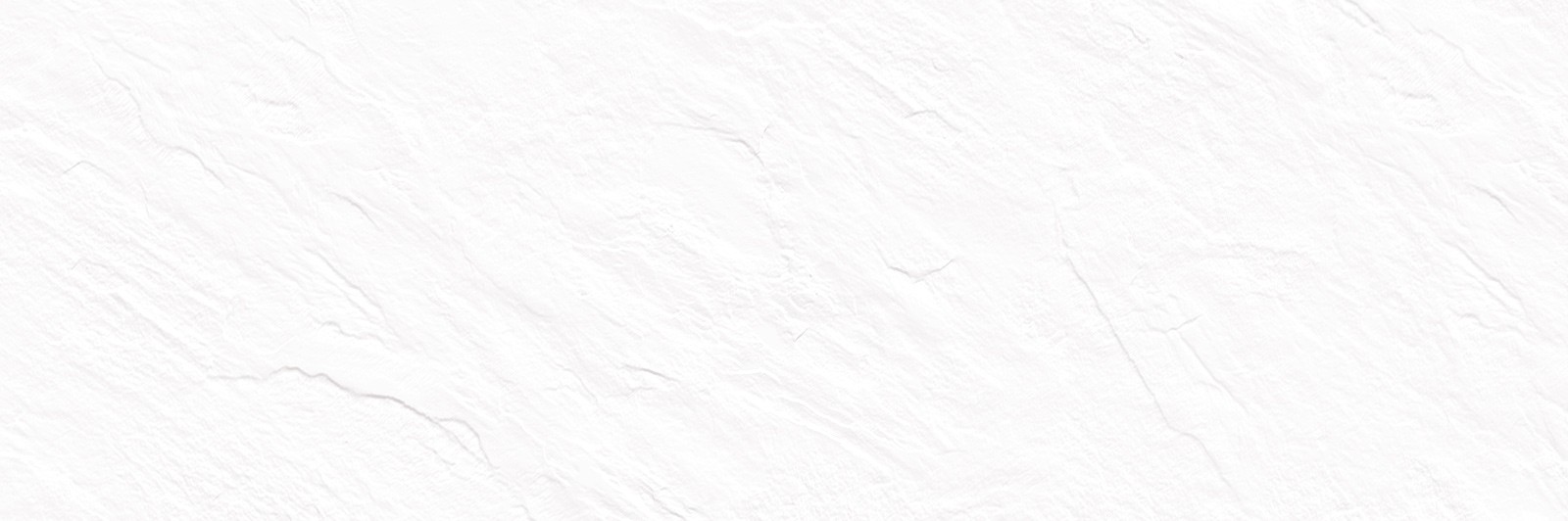 Плитка настенная 25x74 WT15LEN00R Delacora Леон / Leon матовая 10мм Delacora