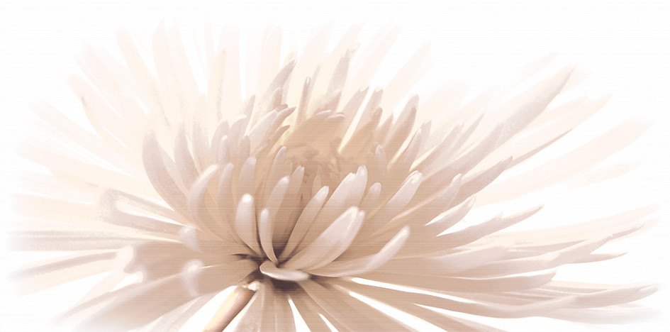 Плитка декор 60x30 Emma C-EA2L051D глазурованная глянцевая Cersanit