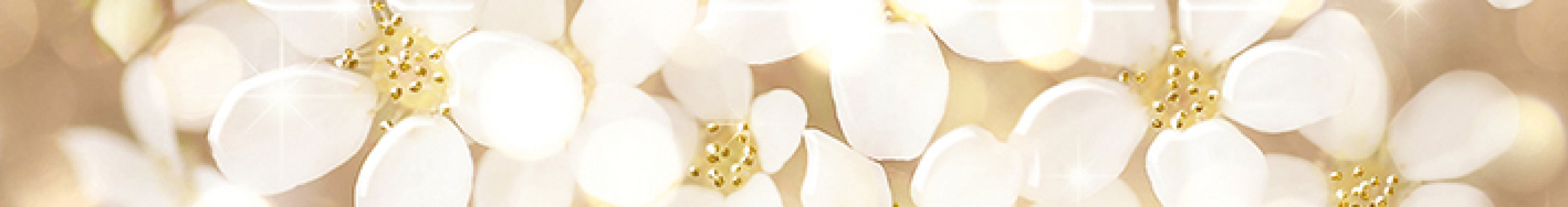 Бордюр 60x8 Elfin C-EF1J011DT глазурованная глянцевая Cersanit